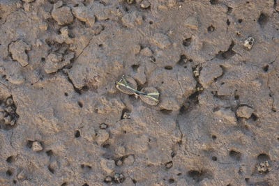 Lost by Louis Ruth framed canvas print