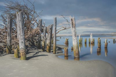 Congested by Louis Ruth canvas print