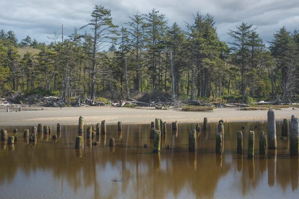 Louis Ruth: Time To Reflect by Louis Ruth