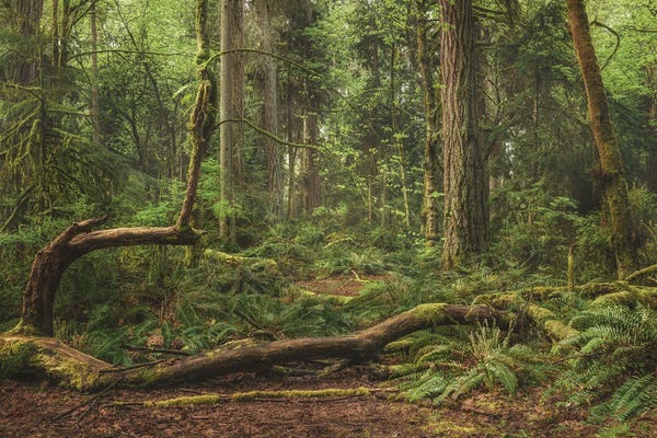 Louis Ruth: Up And Out by Louis Ruth