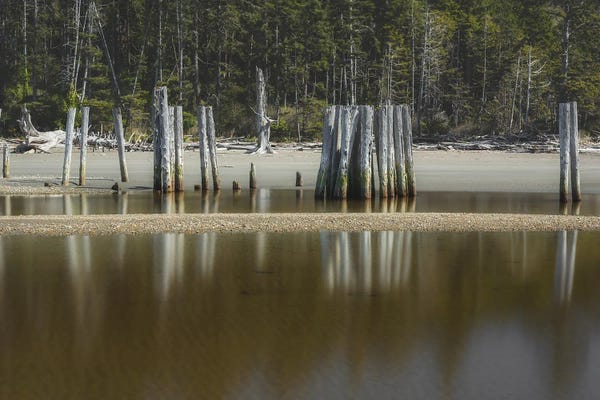 Louis Ruth: Divided We Are by Louis Ruth