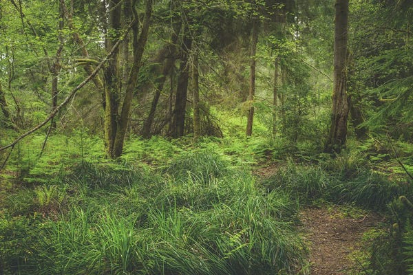 Louis Ruth: Lush Greens by Louis Ruth