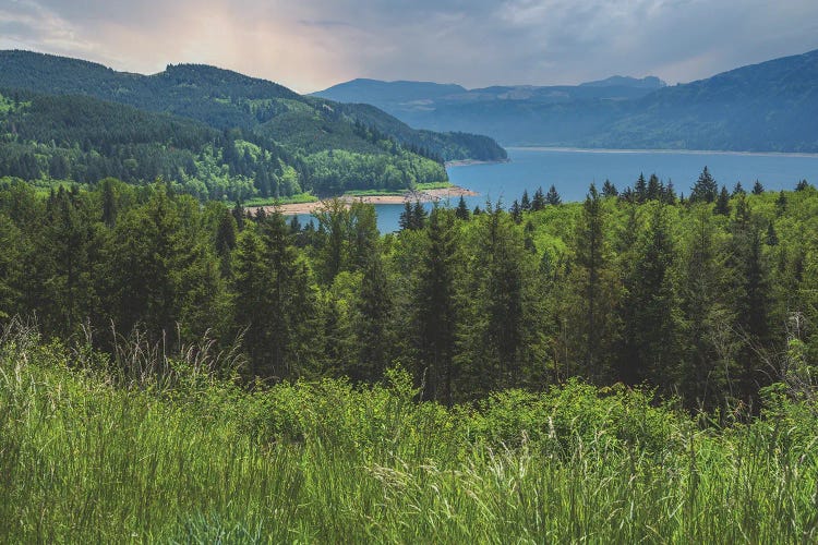 Riffe Lake, Wa