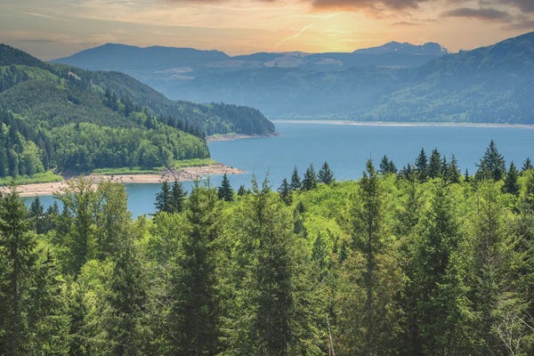 Louis Ruth: Riffe Lake Sunset by Louis Ruth