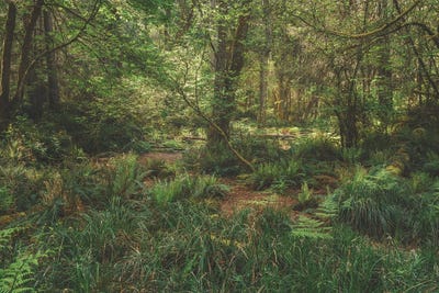 My Light Comes From Above by Louis Ruth framed canvas print