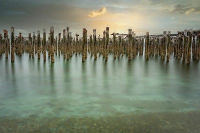 Luminosity 2021 by Louis Ruth canvas print