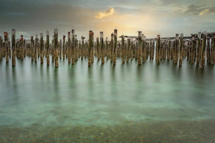 Luminosity 2021 by Louis Ruth wall art
