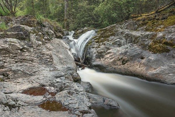 Louis Ruth: Flow by Louis Ruth