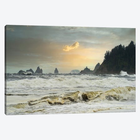 Journey Of The Wave Canvas Print #LRH379} by Louis Ruth Art Print