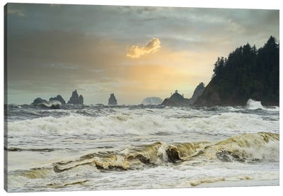 Journey Of The Wave Canvas Art Print - Louis Ruth