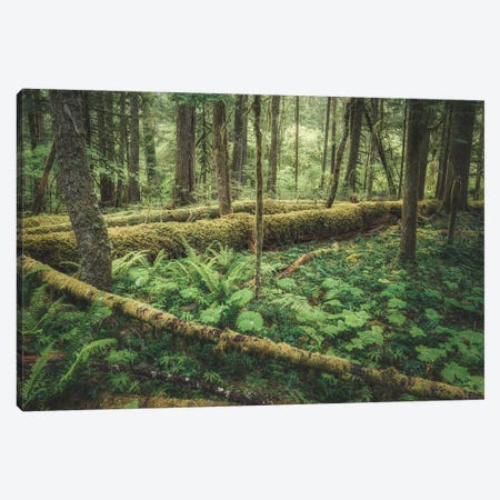 Outdoor Forest Love Canvas Print #LRH391} by Louis Ruth Canvas Print