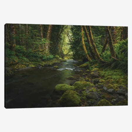 Enchanting Olympic Woodlands Canvas Print #LRH396} by Louis Ruth Canvas Art
