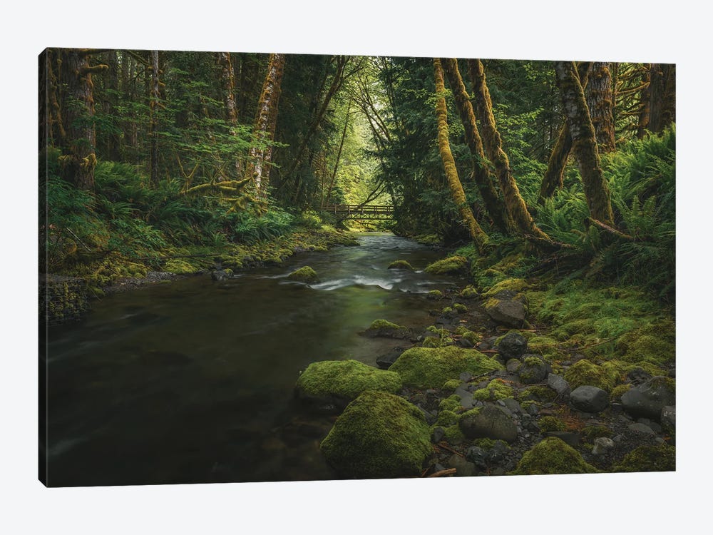 Enchanting Olympic Woodlands by Louis Ruth 1-piece Art Print