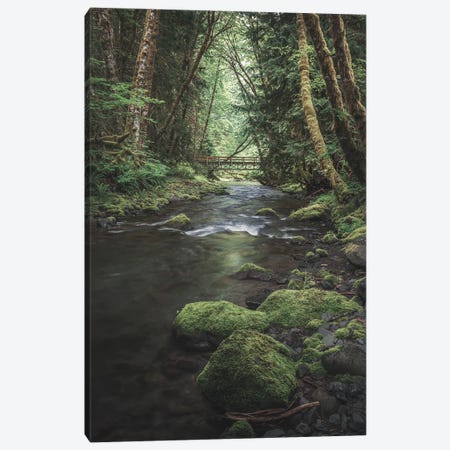 Enchanting Olympic Woodlands Version II Canvas Print #LRH397} by Louis Ruth Canvas Artwork