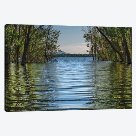 A Spring Morning At Lake Lowell Canvas Print #LRH3} by Louis Ruth Art Print