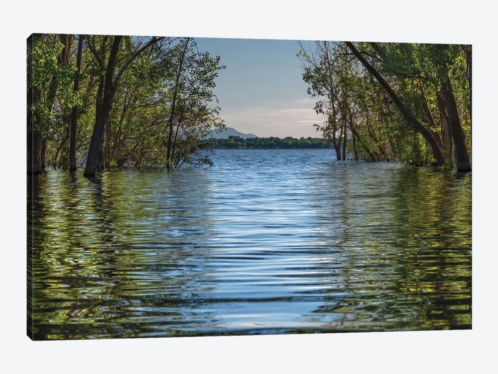 A Spring Morning At Lake Lowell by Louis Ruth 1-piece Canvas Print