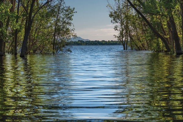 Louis Ruth: A Spring Morning At Lake Lowell by Louis Ruth