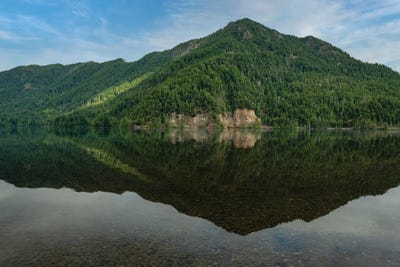 Double Vision by Louis Ruth canvas print