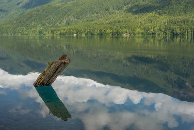 Illusion On Lake Crescent by Louis Ruth metal wall art