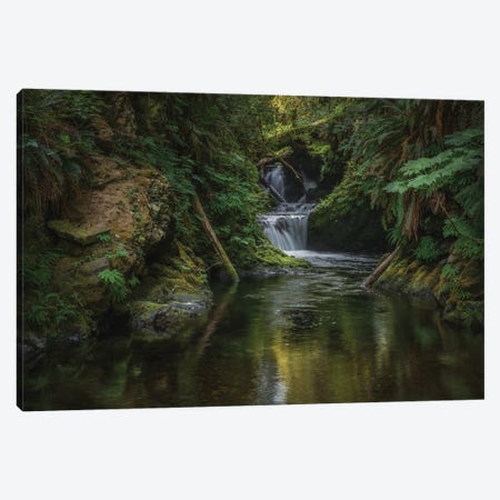 Willaby Falls Quinault Rain Forest Canvas Print #LRH415} by Louis Ruth Canvas Print
