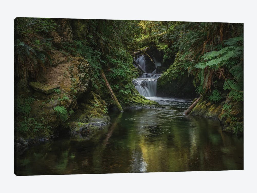 Willaby Falls Quinault Rain Forest by Louis Ruth 1-piece Canvas Print