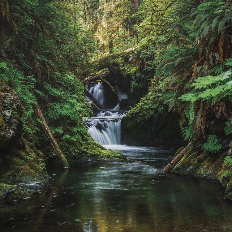 The Grace In A Waterfalls