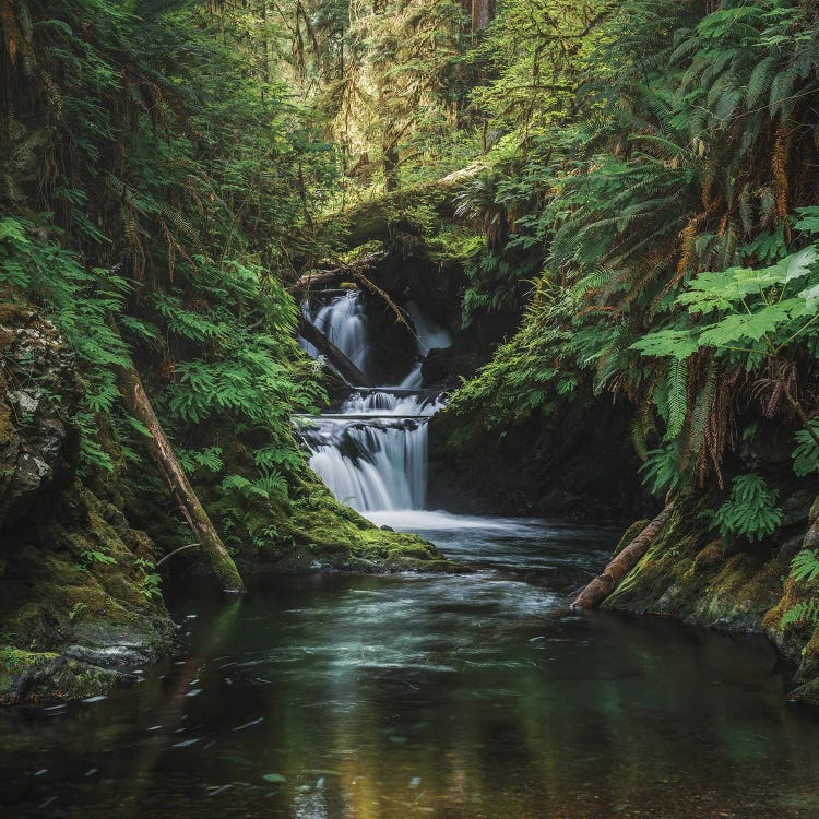 The Grace In A Waterfalls by Louis Ruth wall art