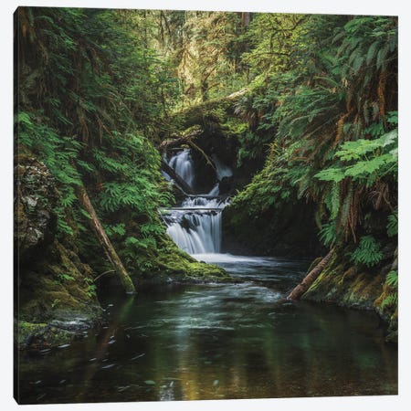 The Grace In A Waterfalls Canvas Print #LRH417} by Louis Ruth Art Print
