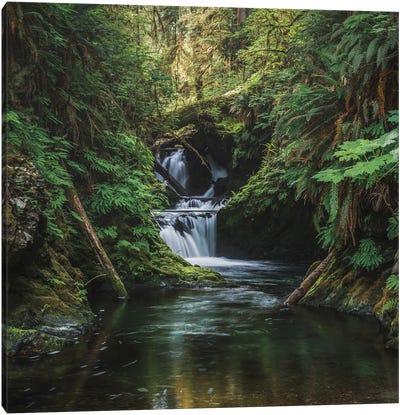 The Grace In A Waterfalls Canvas Art Print - Moss