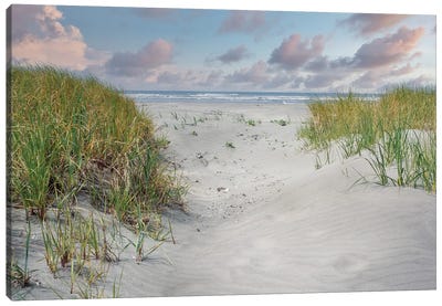 Going To The Beach Canvas Art Print - Coastal Sand Dune Art
