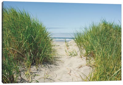 Follow Your Path Canvas Art Print - Coastal Sand Dune Art