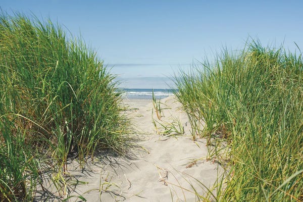 Louis Ruth: Follow Your Path by Louis Ruth