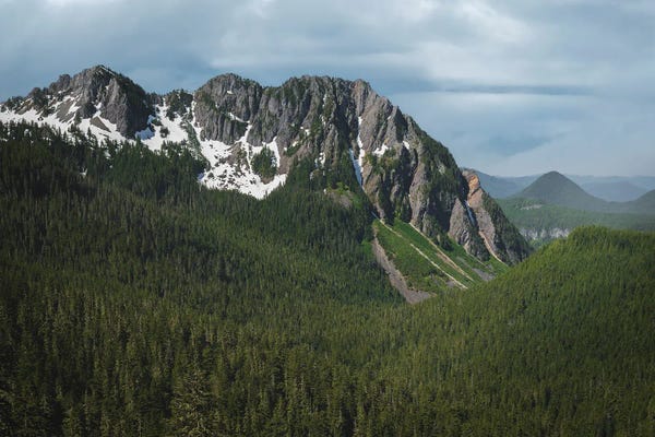 Washington: June Snow Stevens Canyon by Louis Ruth