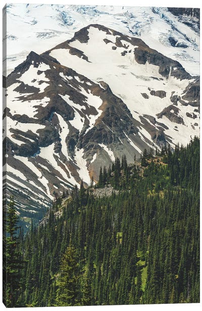 A National Park View Canvas Art Print - Mount Rainier National Park Art