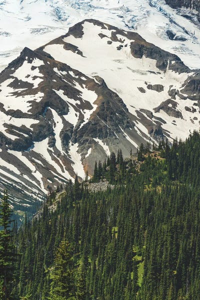 Washington: A National Park View by Louis Ruth
