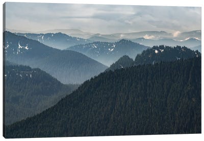 Vista View Canvas Art Print - Mount Rainier National Park Art