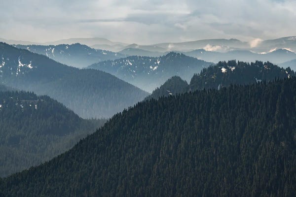 Washington: Vista View by Louis Ruth