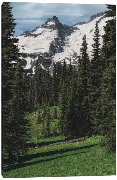 Peeking Through Canvas Art Print - Mount Rainier National Park Art