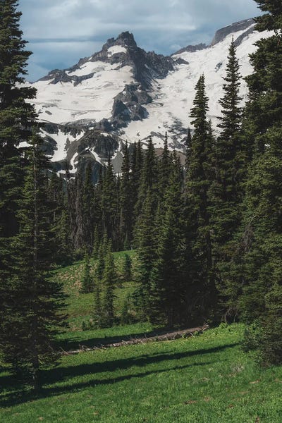 Washington: Peeking Through by Louis Ruth