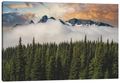 Inversion Over Governors Ridge Canvas Art Print - Mount Rainier National Park Art