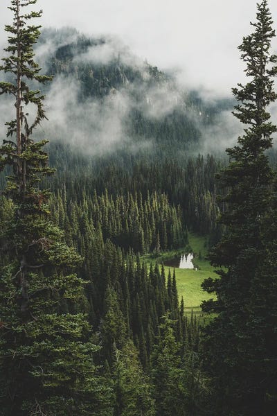 Louis Ruth: Just A Glimpse by Louis Ruth