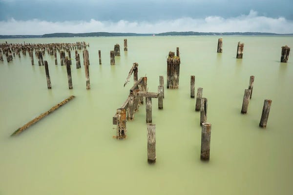 Louis Ruth: Fluid And Yielding by Louis Ruth