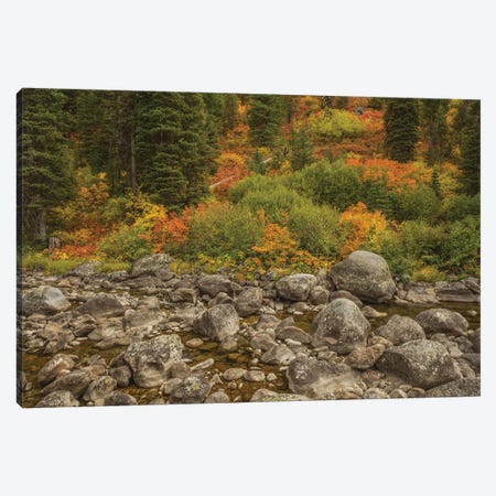 The Hills Are Flowing With Color Canvas Print #LRH45} by Louis Ruth Canvas Print