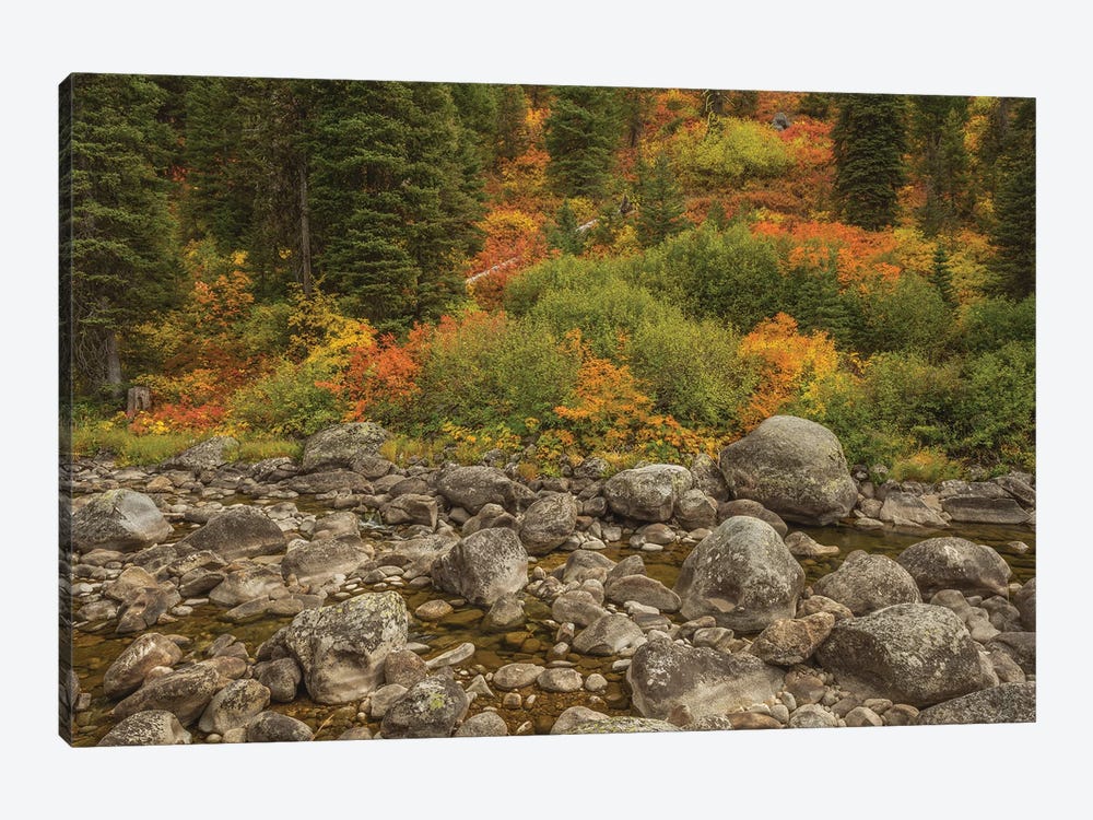 The Hills Are Flowing With Color by Louis Ruth 1-piece Canvas Wall Art