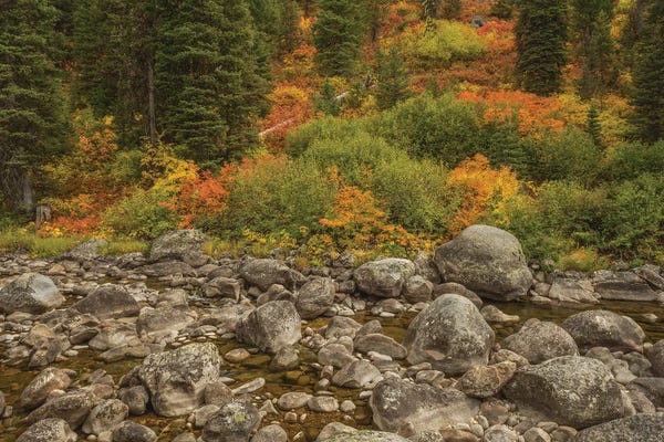 The Hills Are Flowing With Color