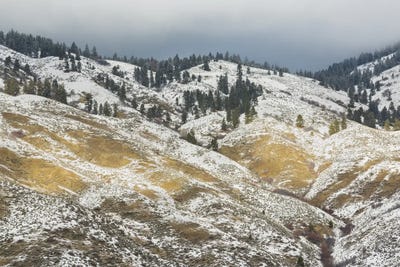 There's Gold In Them Hills by Louis Ruth canvas print