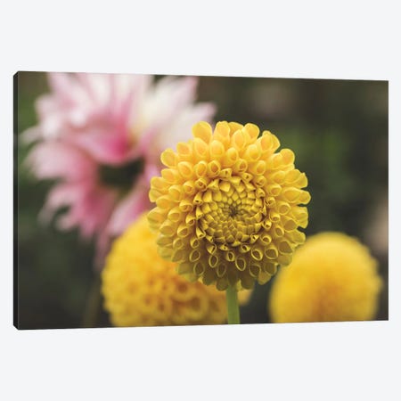 Yellow Honeycomb Canvas Print #LRH464} by Louis Ruth Canvas Artwork