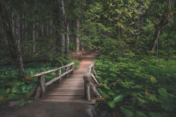 Louis Ruth: The Adventure Begins by Louis Ruth