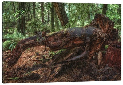 Tree Art Canvas Art Print