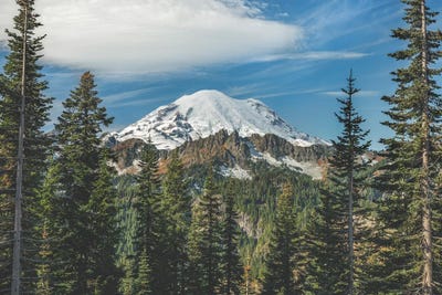 Rainier vista by Louis Ruth framed canvas print